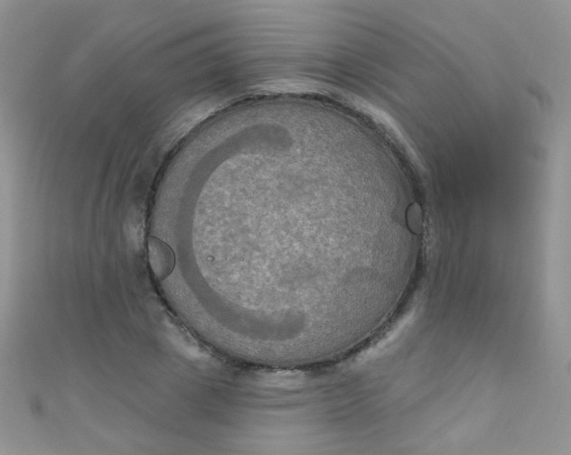 X0000111020833200907022157