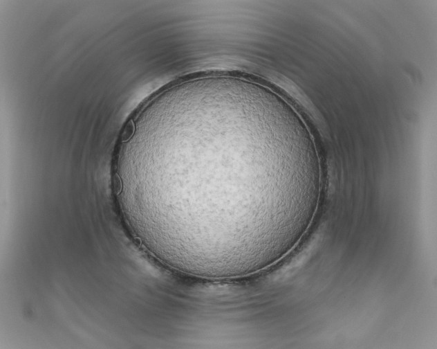 X0000111020834200907022157