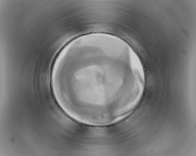 X0000111020836200907022157
