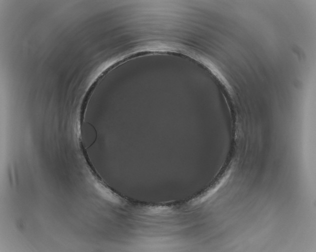 X0000111020837200907022157