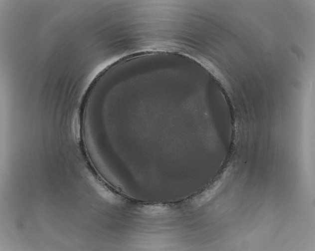 X0000111020838200907022157