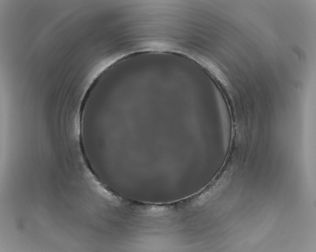 X0000111020839200907022157