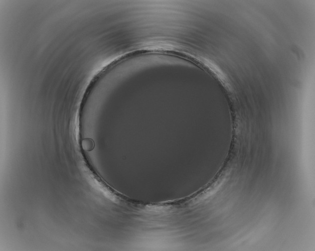 X0000111020840200907022157