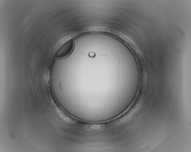X0000111020841200907022157