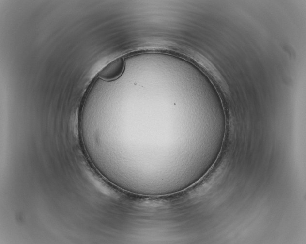 X0000111020842200907022157