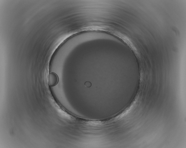 X0000111020844200907022157