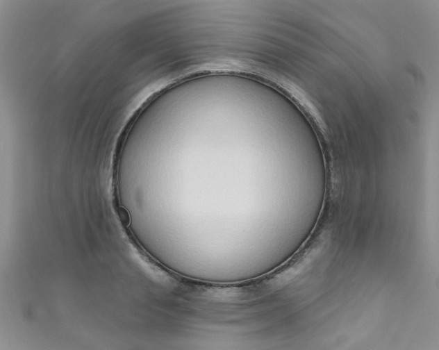 X0000111020845200907022157