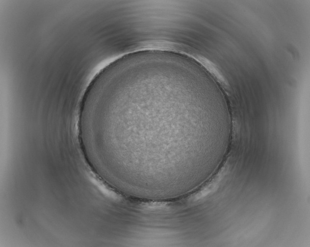 X0000111020846200907022157