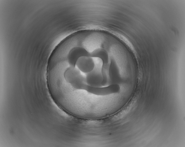 X0000111020847200907022157