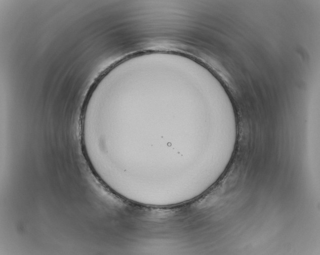 X0000111020848200907022157