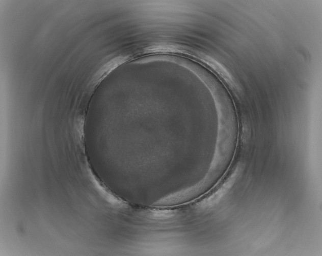 X0000111020849200907022157