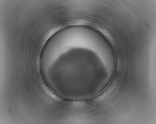 X0000111020850200907022157