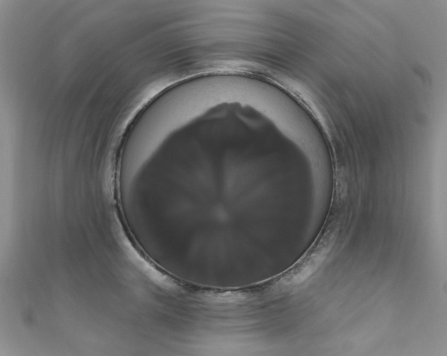 X0000111020851200907022157