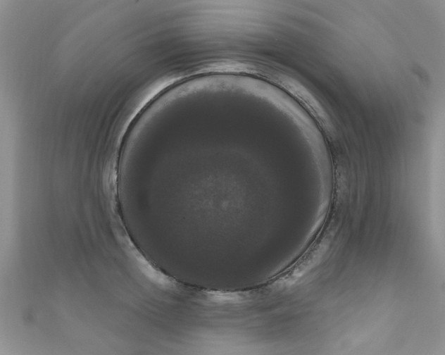 X0000111020852200907022157
