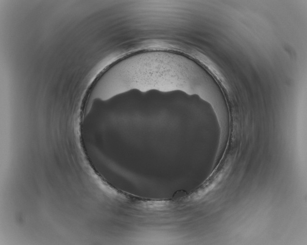 X0000111020853200907022157