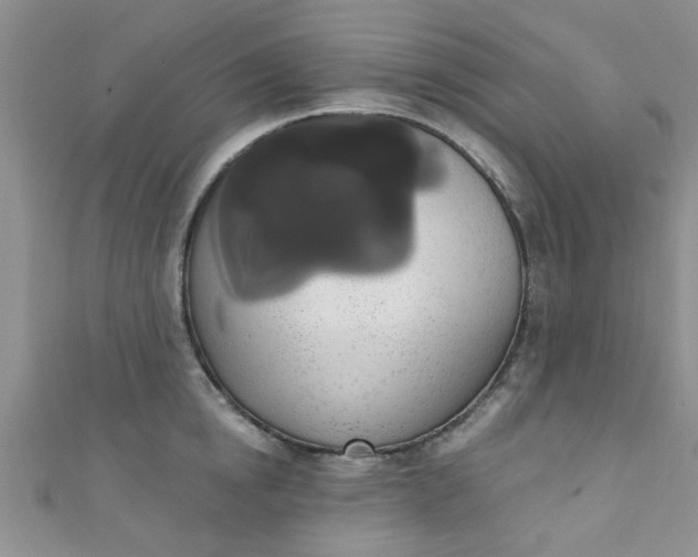 X0000111020854200907022157