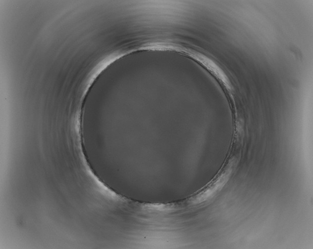 X0000111020855200907022157