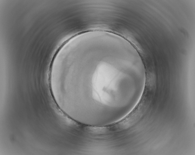 X0000111020856200907022157