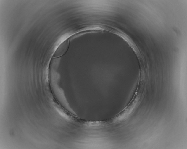 X0000111020858200907022157
