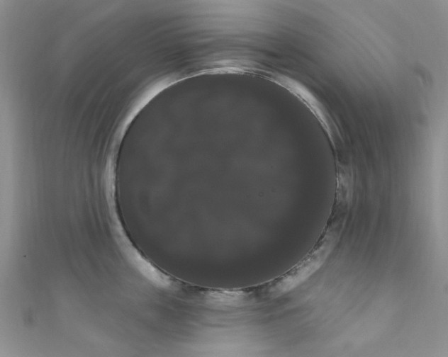X0000111020859200907022157