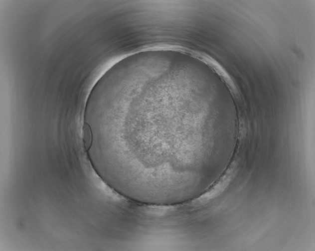 X0000111020860200907022157