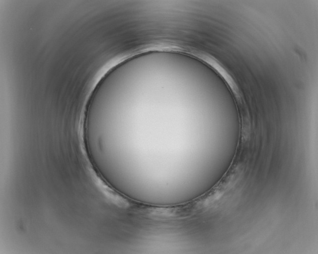 X0000111020861200907022157