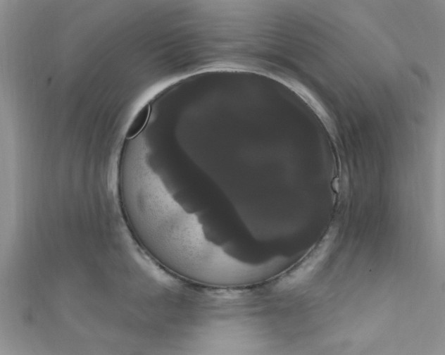 X0000111020862200907022157