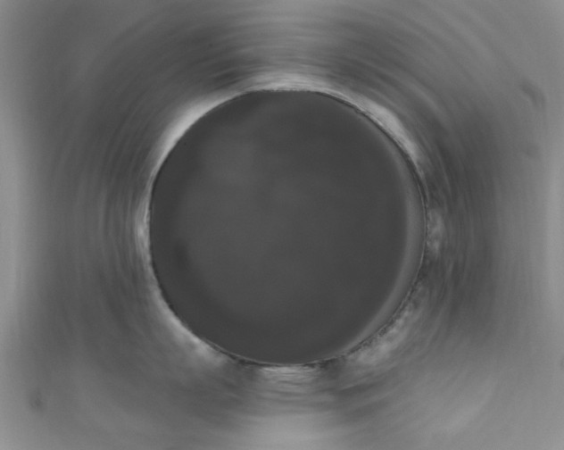 X0000111020863200907022157
