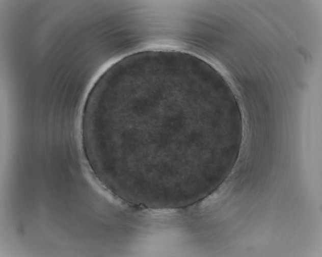 X0000111020864200907022157