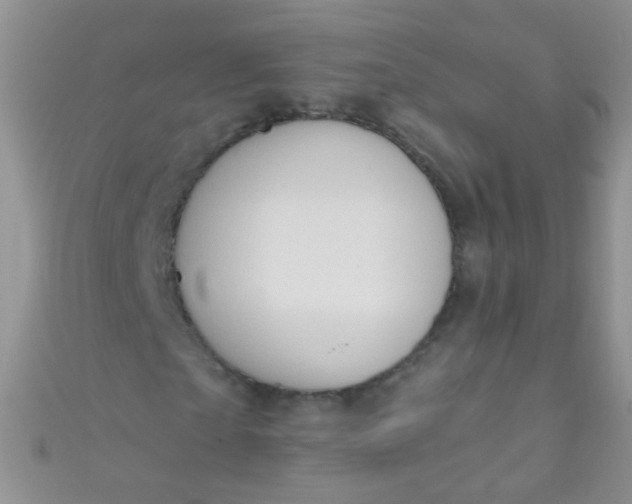 X0000111020865200907022156