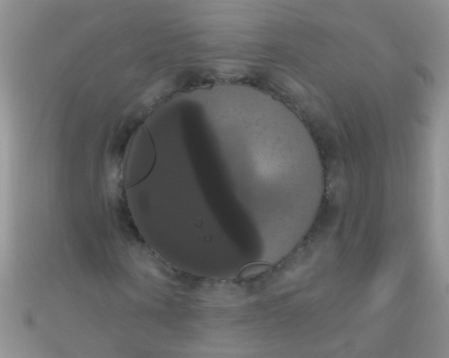 X0000111020866200907022156
