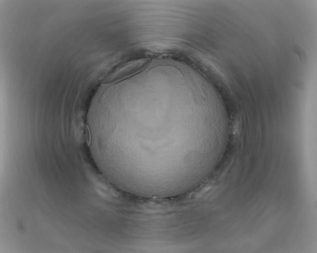 X0000111020868200907022156
