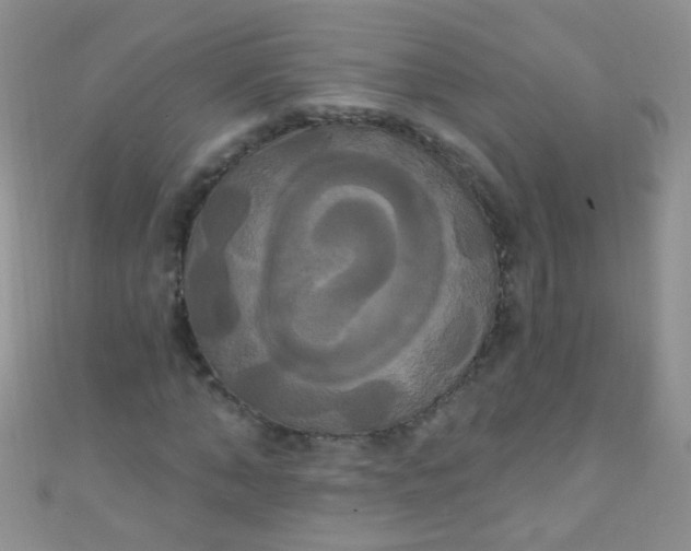 X0000111020870200907022156