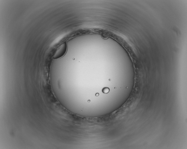 X0000111020871200907022156