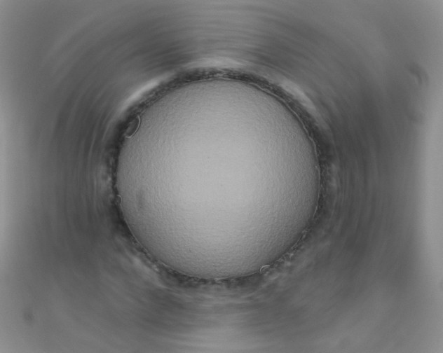 X0000111020872200907022156