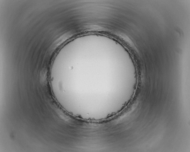 X0000111020873200907022156