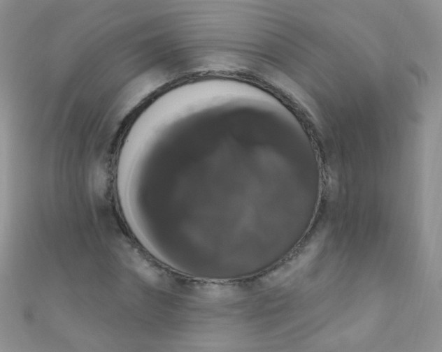 X0000111020874200907022156
