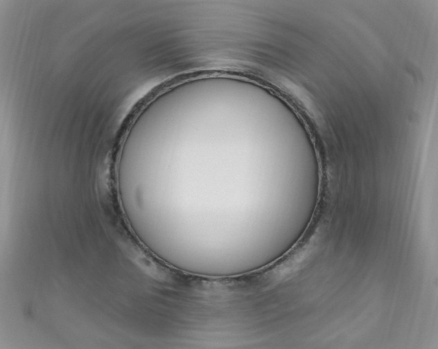 X0000111020875200907022156
