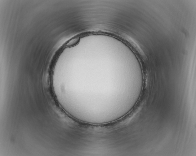 X0000111020876200907022156