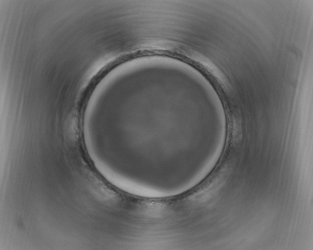 X0000111020878200907022156