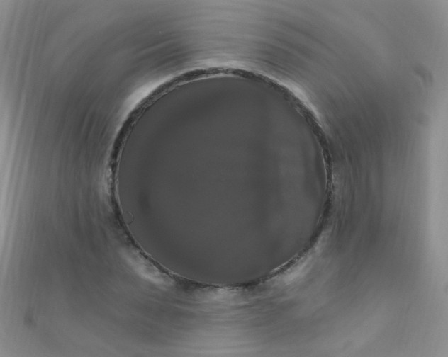 X0000111020879200907022156