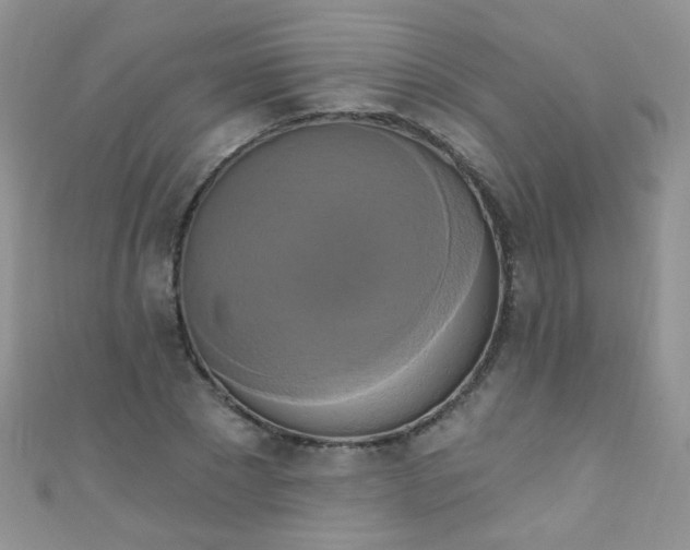 X0000111020881200907022156