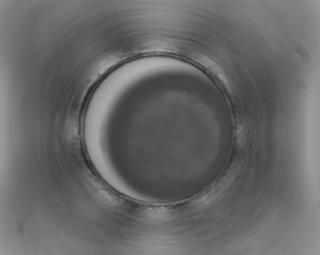 X0000111020882200907022156