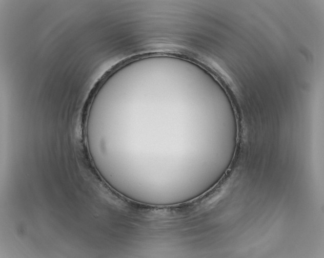 X0000111020883200907022156