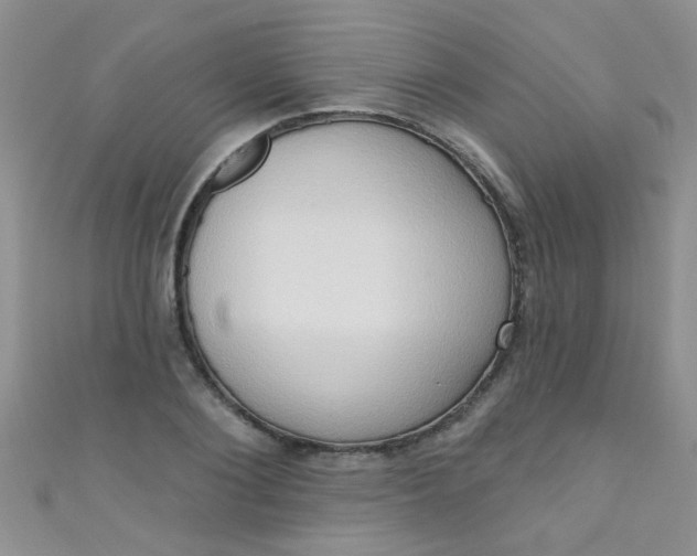 X0000111020884200907022156