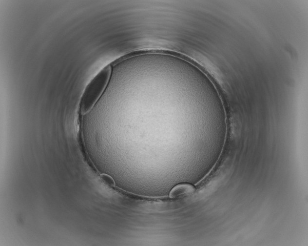 X0000111020885200907022156