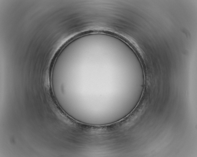 X0000111020887200907022156