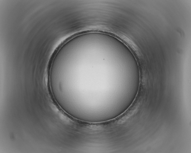 X0000111020888200907022156
