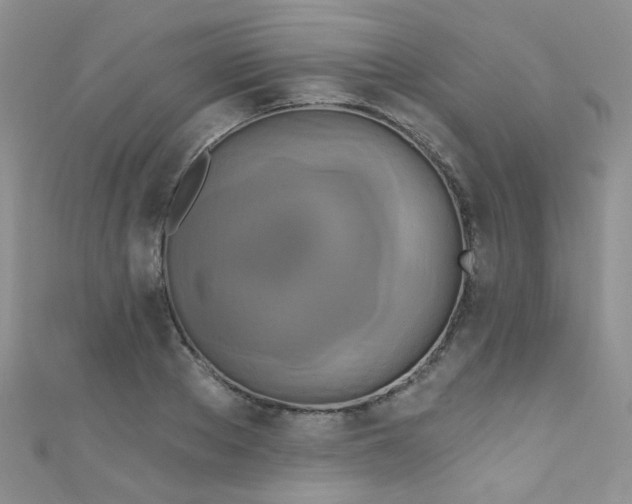 X0000111020889200907022156