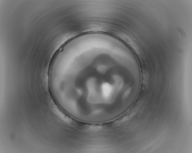 X0000111020890200907022156